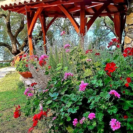 Apartment Mare Nostrum Neos Marmaras