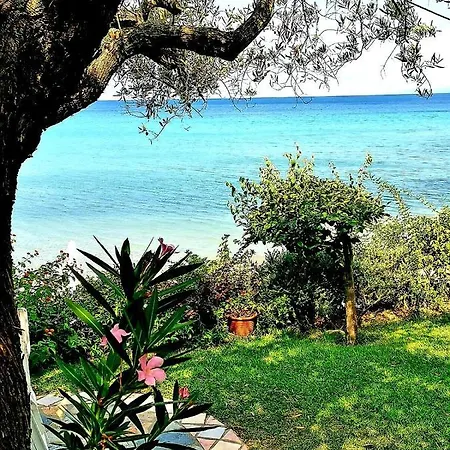 Mare Nostrum *