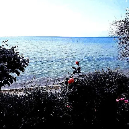 Mare Nostrum Lejlighed