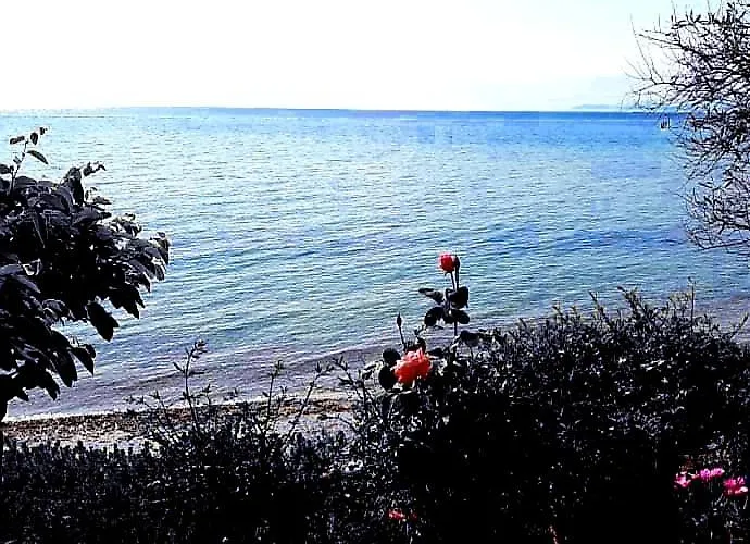 Mare Nostrum Apartamento